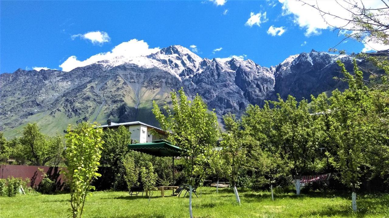 Kazbegi Green Yard Εξωτερικό φωτογραφία